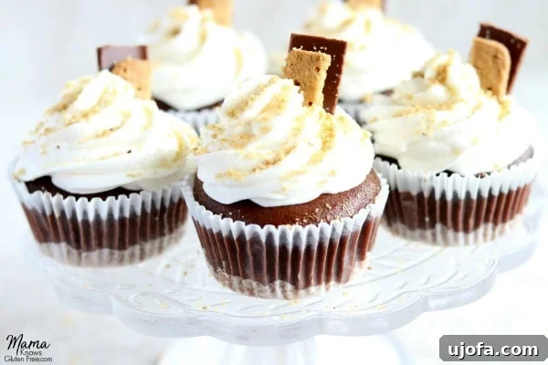 gluten-free s'mores cupcakes