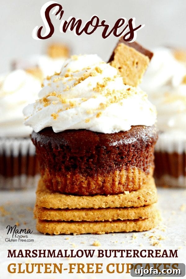 gluten-free s'mores cupcakes