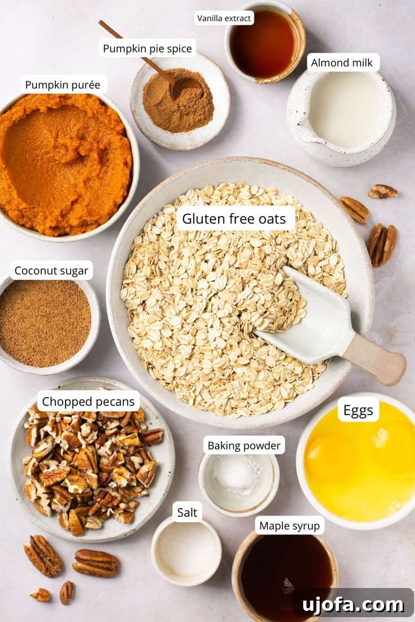 An array of ingredients for pumpkin baked oatmeal, including oats, pumpkin puree, and spices.