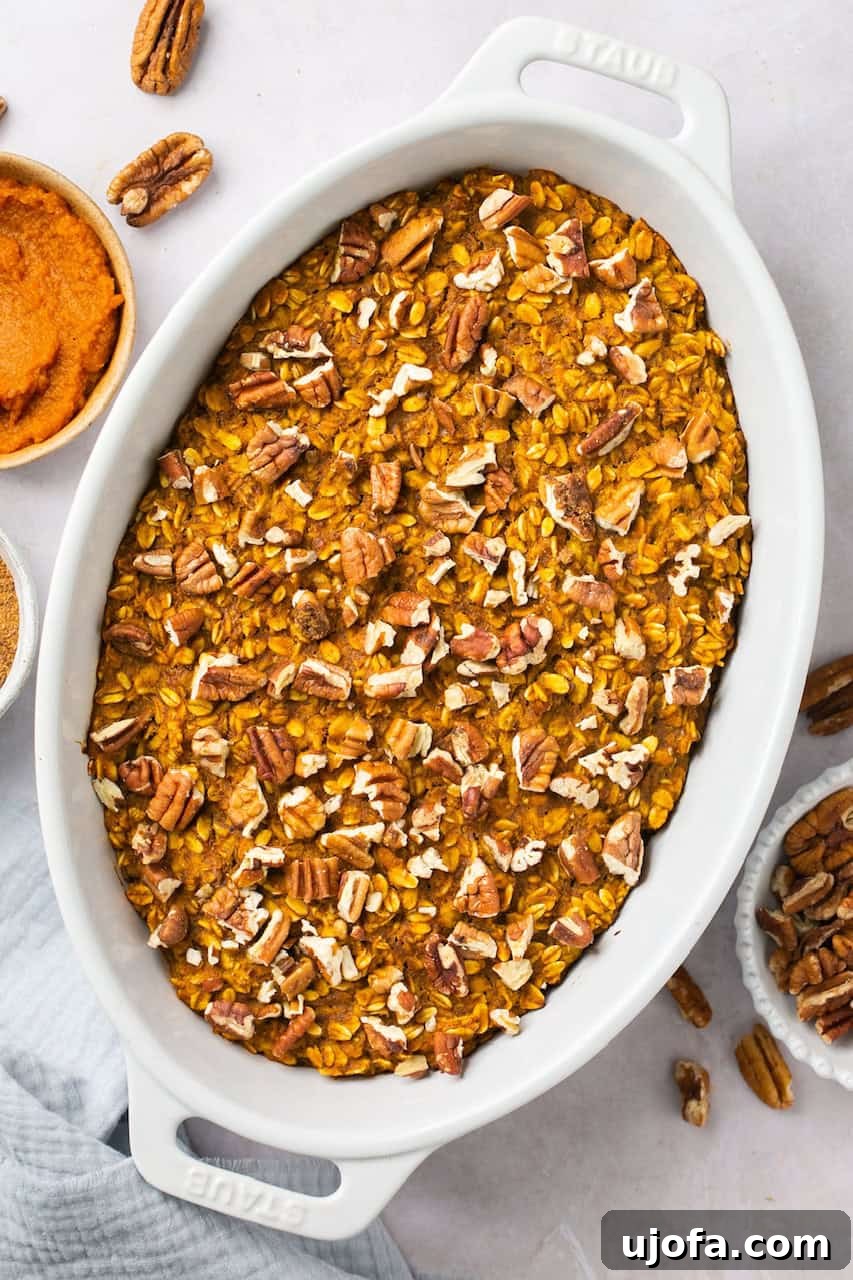 Pumpkin baked oatmeal in a white Staub dish, garnished with pecans and ready to serve.