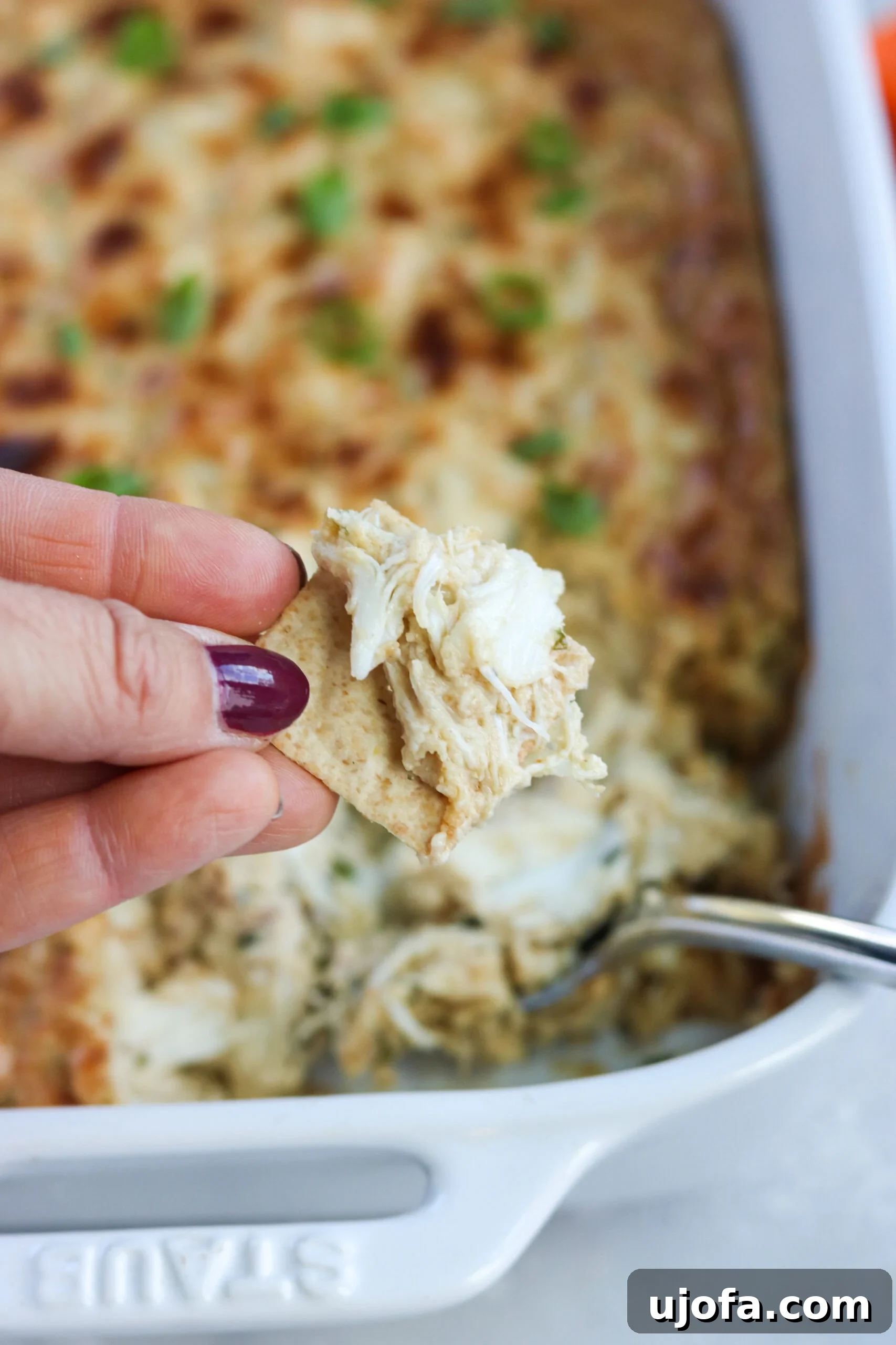 Paleo Maryland Crab Dip elegantly presented with almond flour crackers, carrot sticks, and celery sticks.