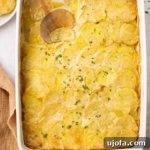 gluten free scalloped potatoes in a casserole dish with a wooden spoon taking a scoop out