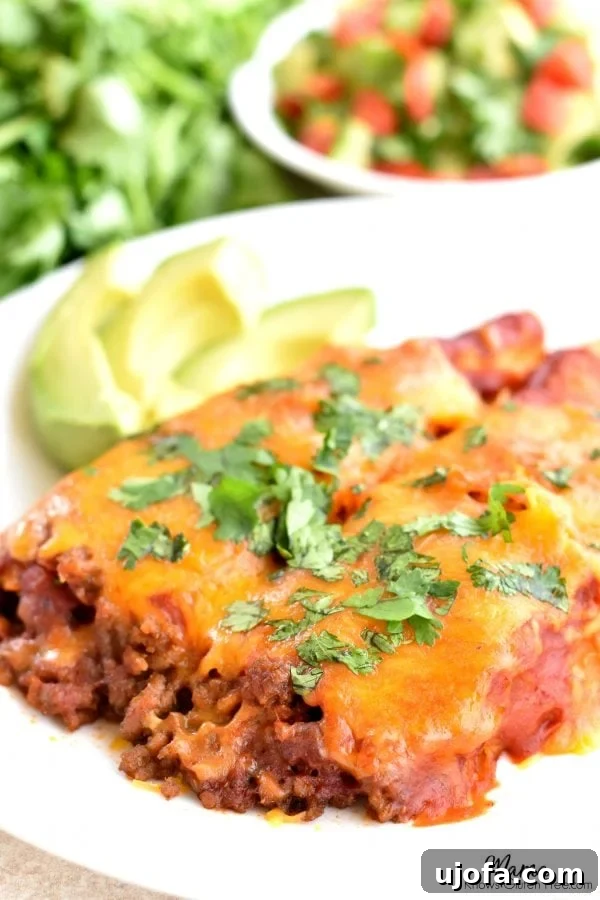 plate of gluten-free beef and cheese enchiladas with sliced avocados and salsa and cilantro in the background