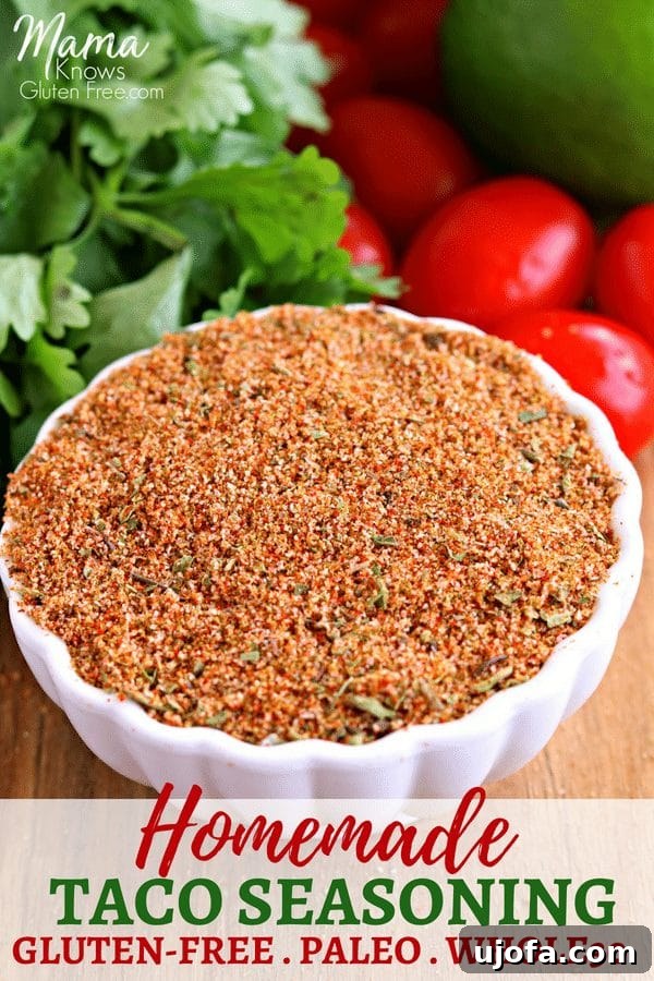 homemade taco seasoning Pinterst pin