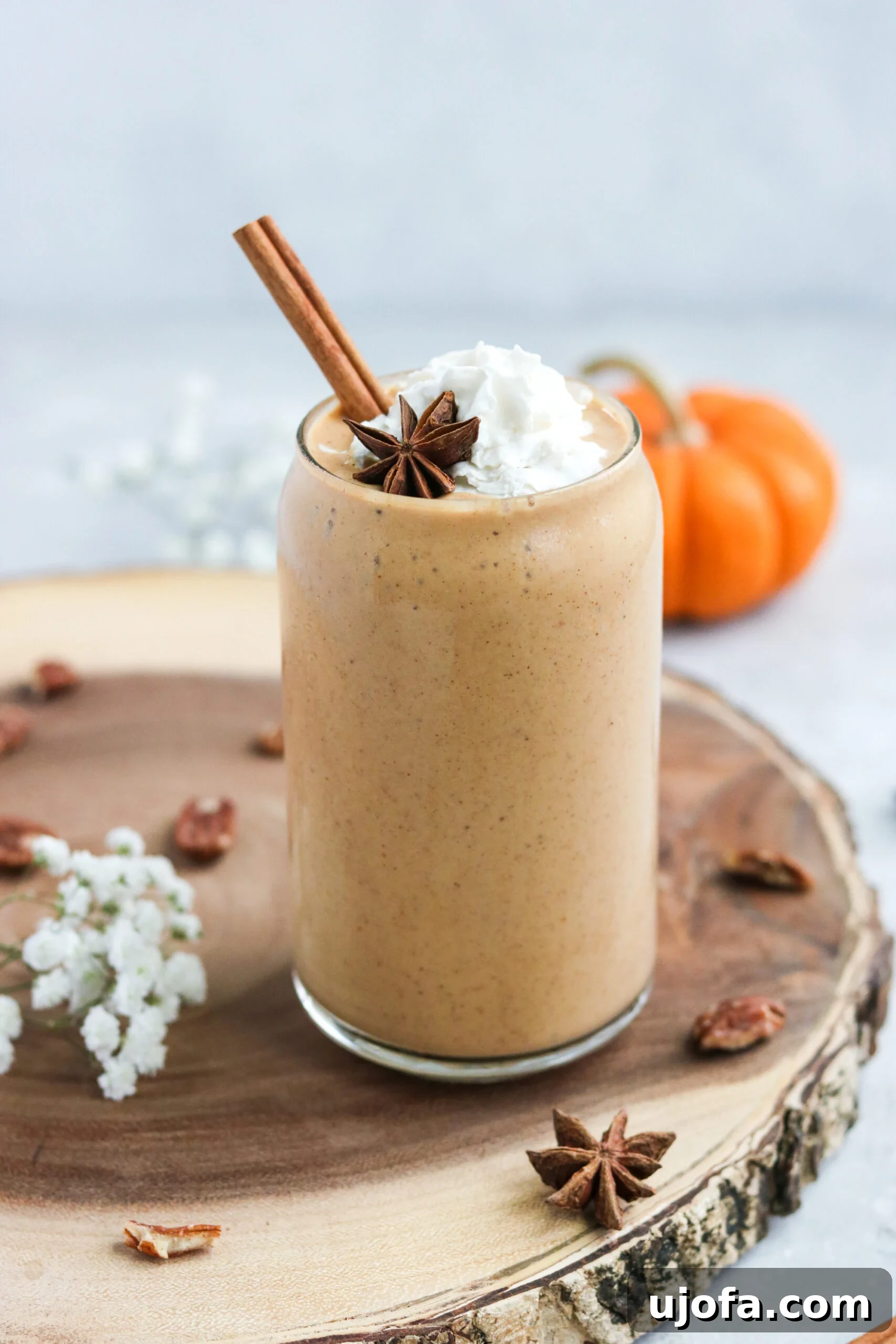 Paleo Pumpkin Spice Dream 2 Creamy Paleo Pumpkin Pie Smoothie served in a glass with a cinnamon stick garnish