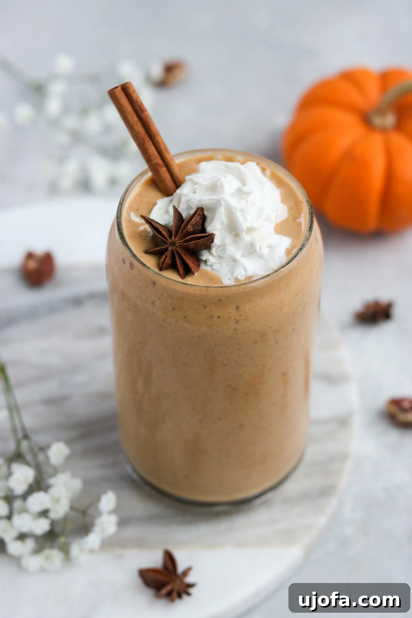 Paleo Pumpkin Spice Dream 3 Paleo Pumpkin Pie Smoothie garnished with dairy-free whipped cream and a cinnamon stick