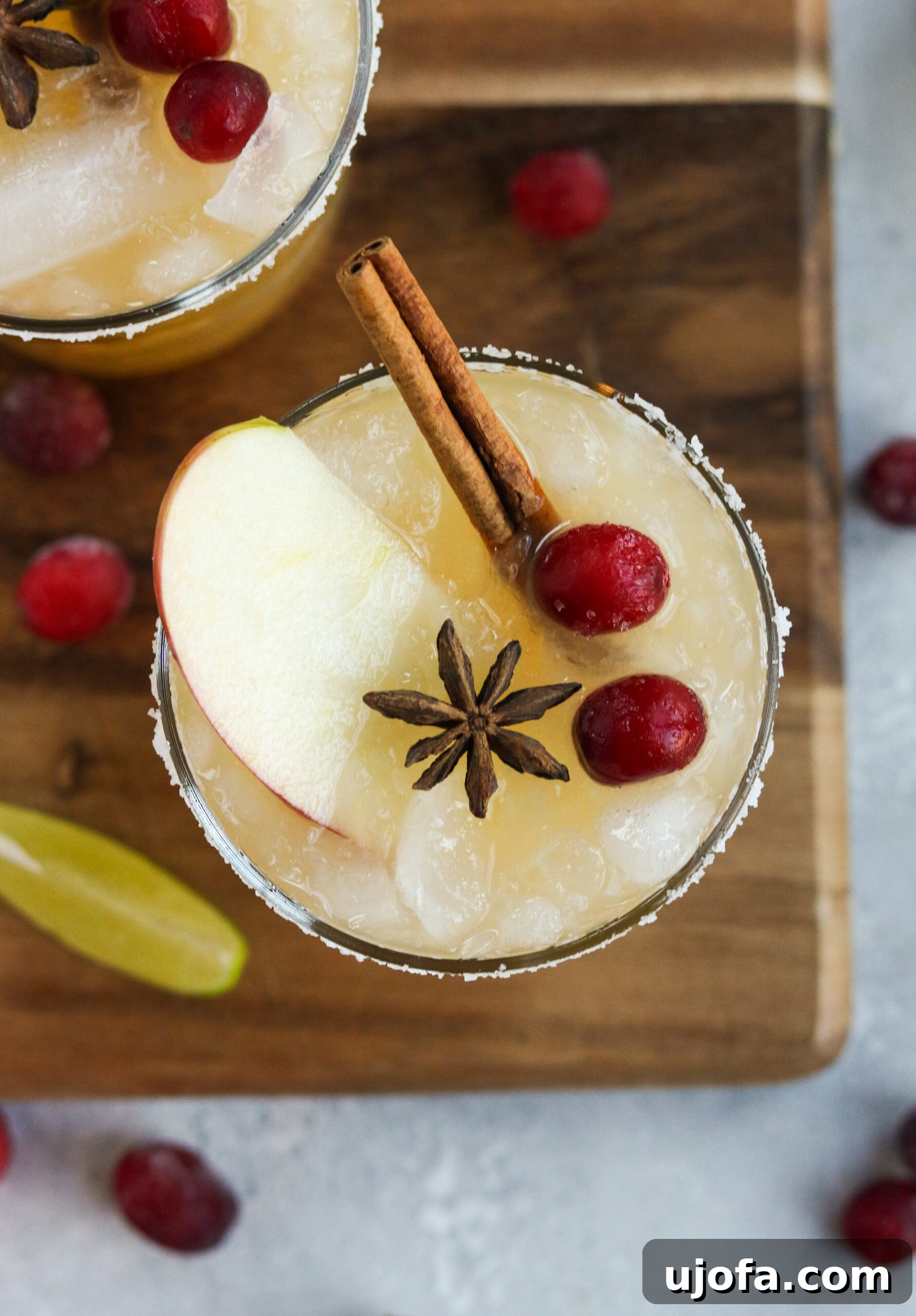 Thanksgiving Margarita topped with a cinnamon stick, a fresh apple slice, and two cranberries, ready for fall celebrations.