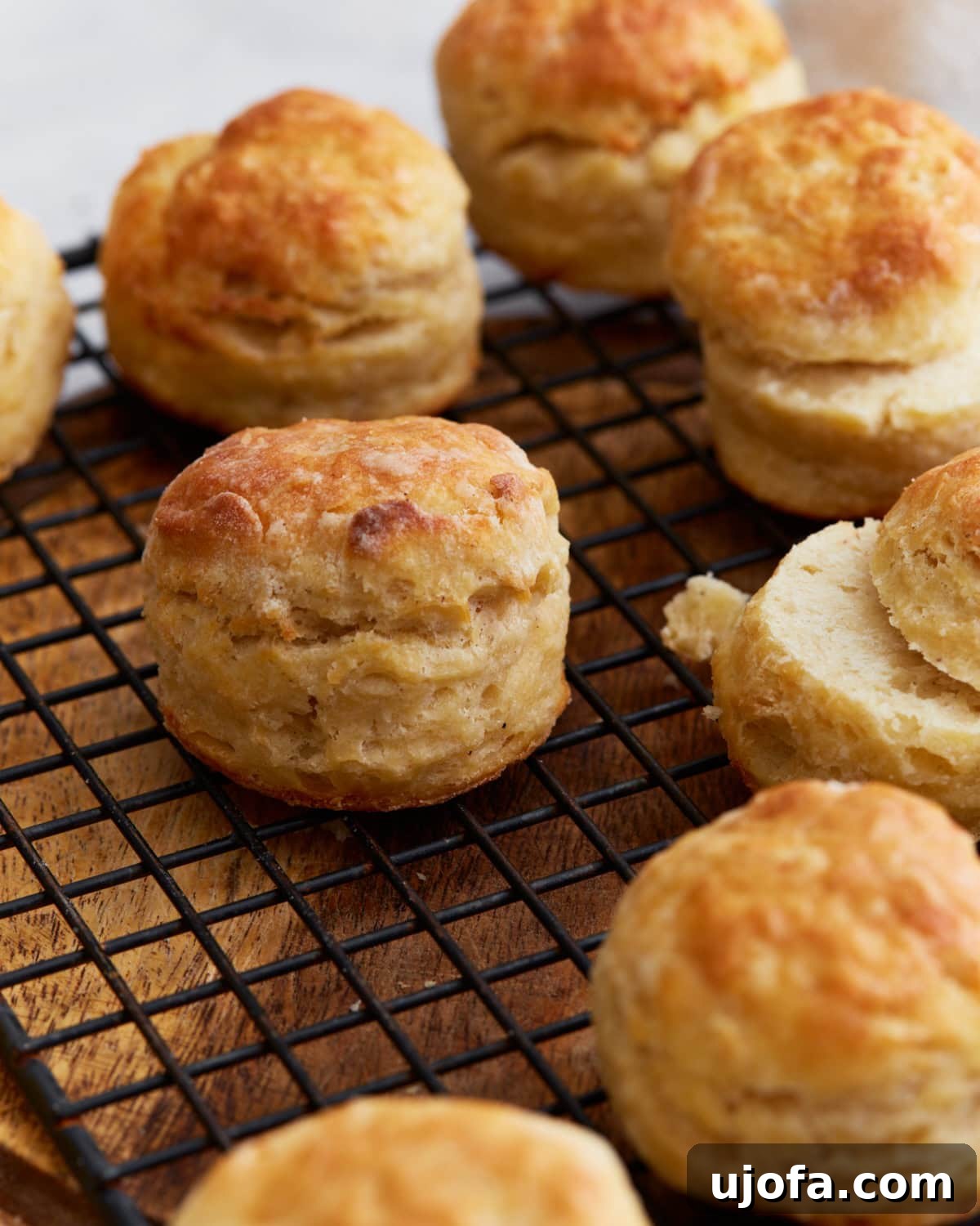 Perfect Gluten-Free Buttermilk Biscuits 2 Freshly baked gluten-free buttermilk biscuits cooling on a wire rack, showcasing their golden-brown tops and distinct flaky layers.