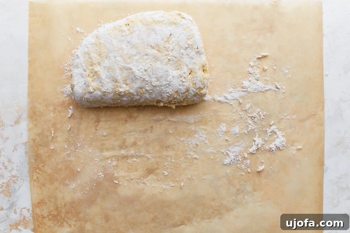 Perfect Gluten-Free Buttermilk Biscuits 11 The biscuit dough after being folded a second time, appearing thicker and more compact, with flour dusting visible.