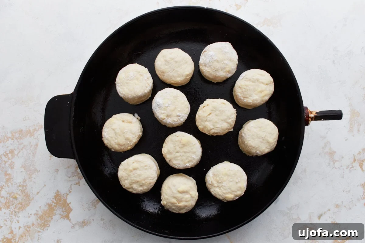 Perfect Gluten-Free Buttermilk Biscuits 14 Raw gluten-free biscuit rounds nestled closely together in a cast iron skillet, prepared for baking.