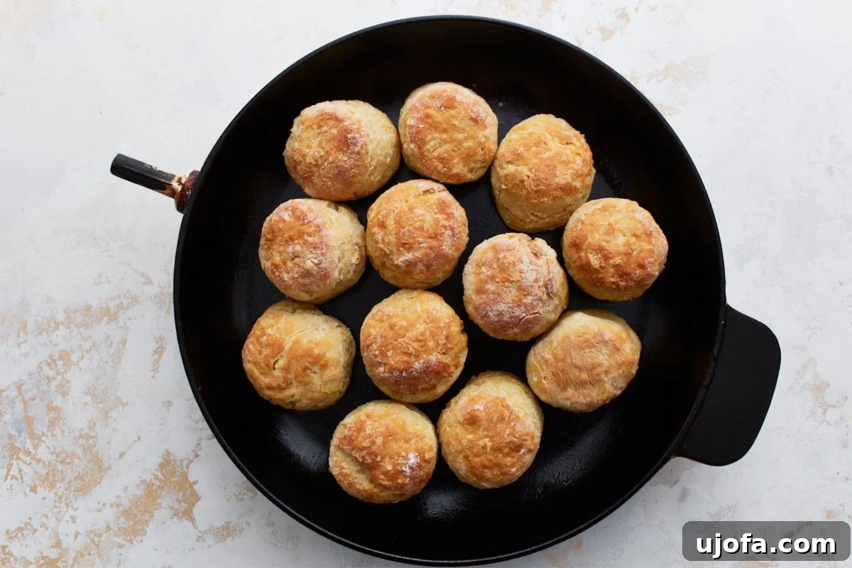 Perfect Gluten-Free Buttermilk Biscuits 15 Freshly baked gluten-free buttermilk biscuits, golden brown and perfectly puffed, still in the cast iron skillet.