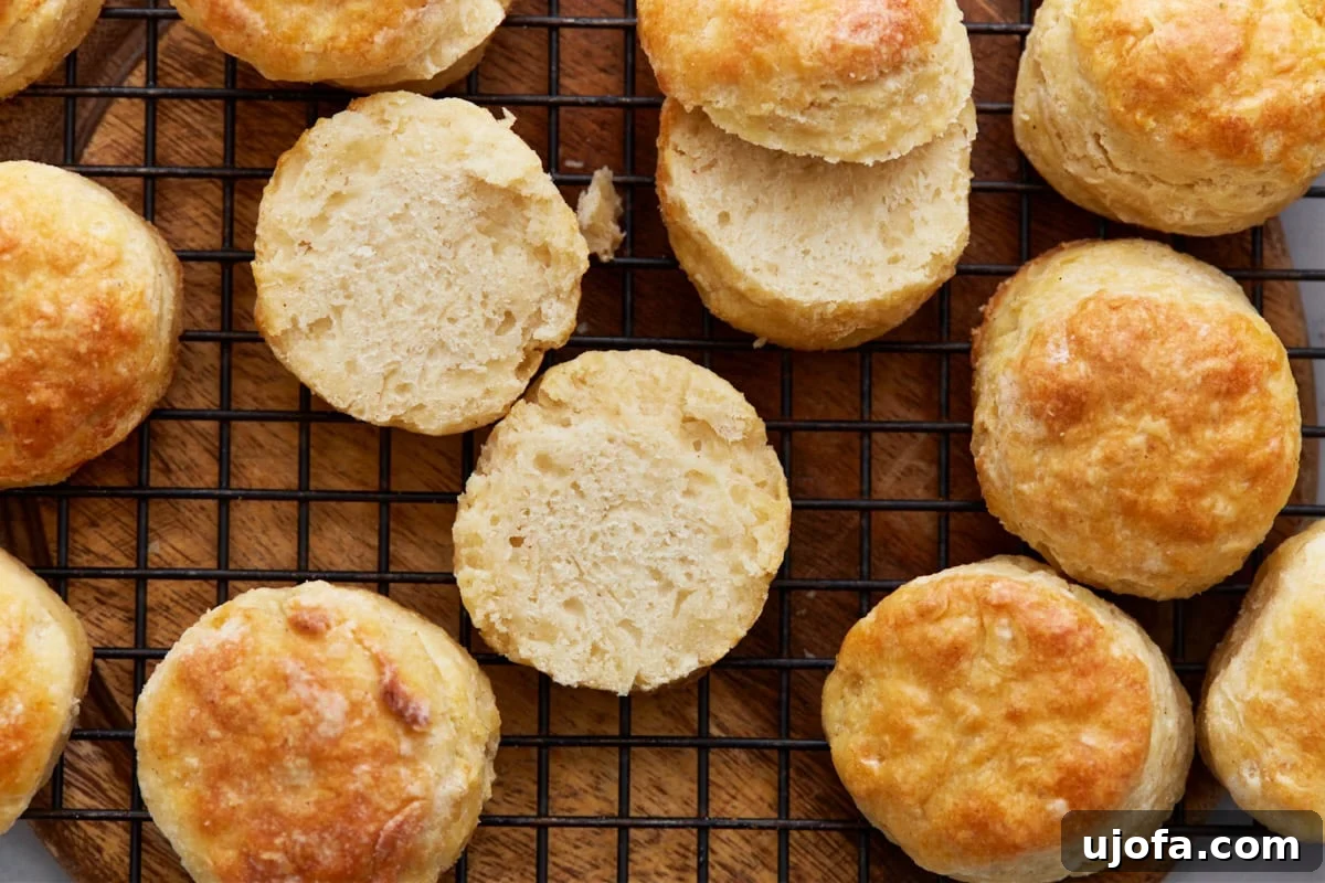 Perfect Gluten-Free Buttermilk Biscuits 17 Overhead view of several split gluten-free biscuits on a wire rack, revealing their soft, airy, and flaky interior texture.