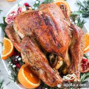 Beautifully roasted Paleo Turkey on a white platter, garnished with oranges, pomegranates, and fresh herbs