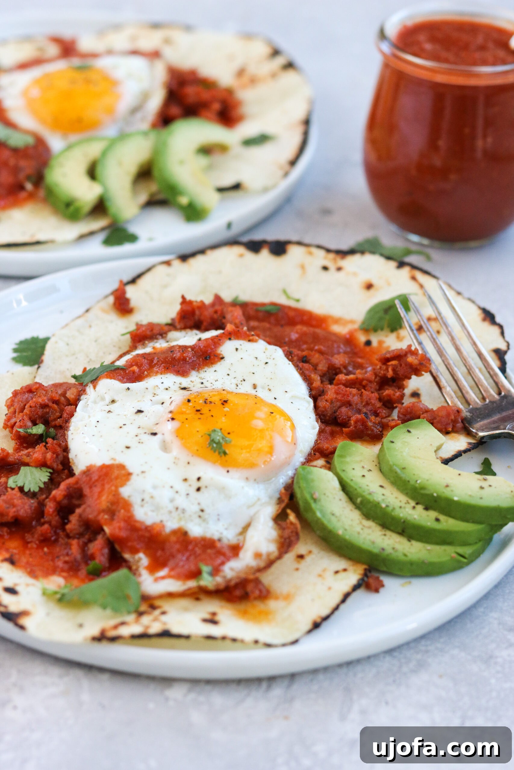 Spicy Paleo Chorizo Huevos Rancheros 4 Close-up of Paleo Huevos Rancheros with Fresh Cilantro and Avocado Slices