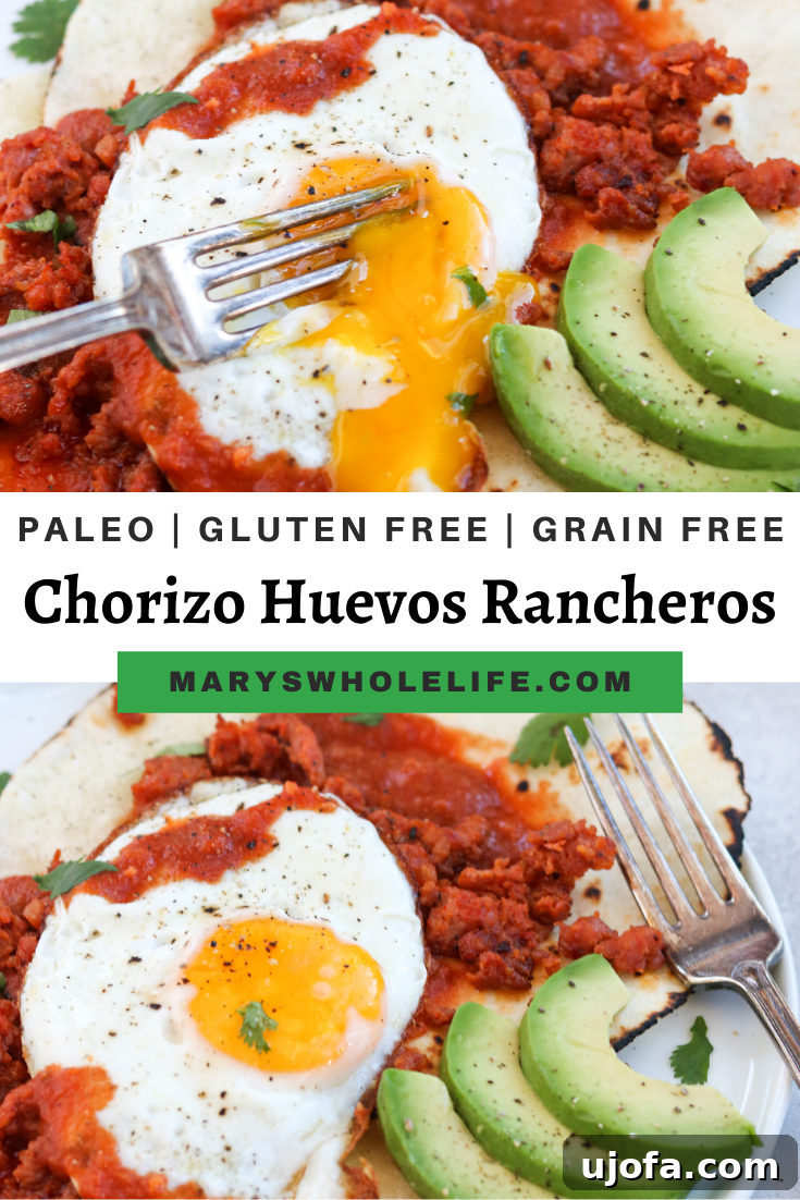 Spicy Paleo Chorizo Huevos Rancheros 7 Final plated Paleo Chorizo Huevos Rancheros ready to be served