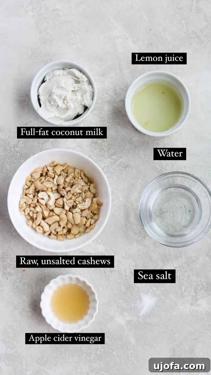 All six ingredients for the dairy-free sour cream recipe laid out on a surface: raw cashews, coconut cream, water, apple cider vinegar, lemon juice, and sea salt.