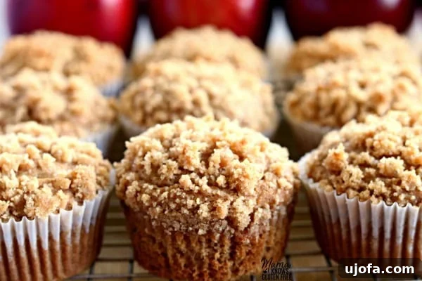 9 Easy Gluten-Free Apple Cinnamon Crumb Muffins on a cooling rack with apples in the background