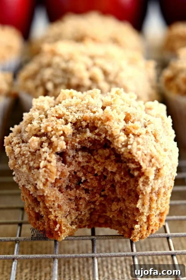 a Gluten-Free Apple Cinnamon Crumb Muffins with a bite out of it to show the texture with more muffins and apples in the background