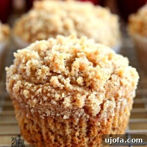 Easy Gluten-Free Apple Cinnamon Crumb Muffins