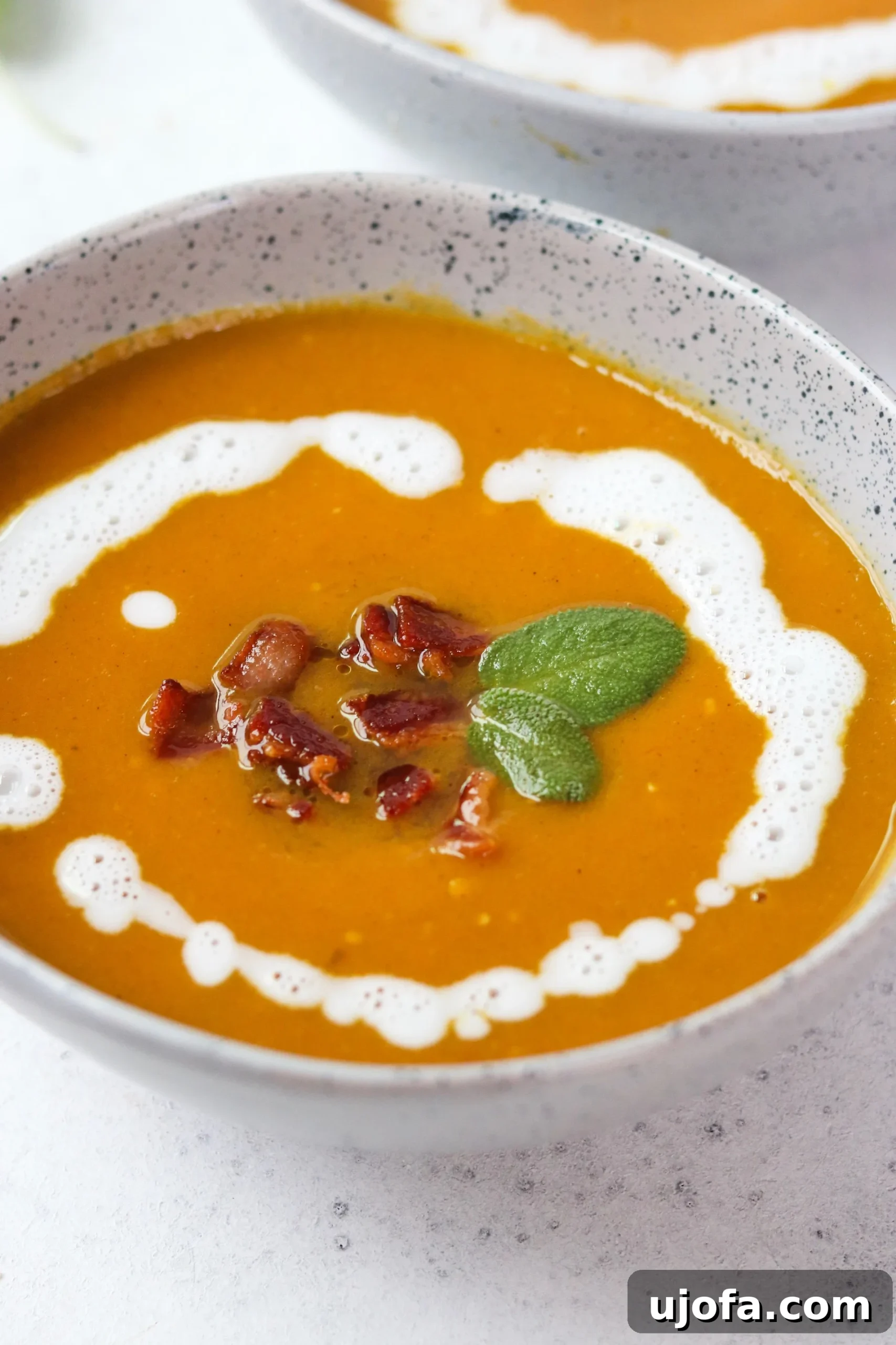 Close-up of the smooth texture of Butternut Squash Soup, garnished with a swirl of coconut milk and fresh herbs.