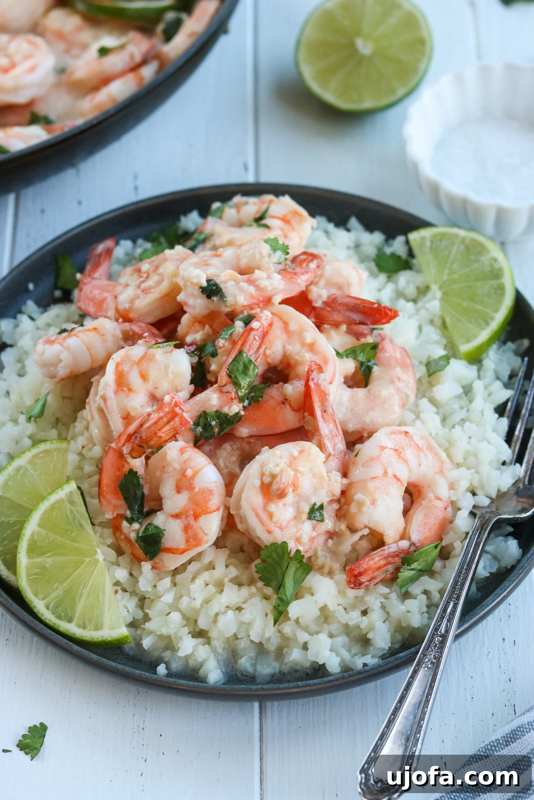 Overhead shot of Coconut Lime Shrimp with cilantro and a side of rice