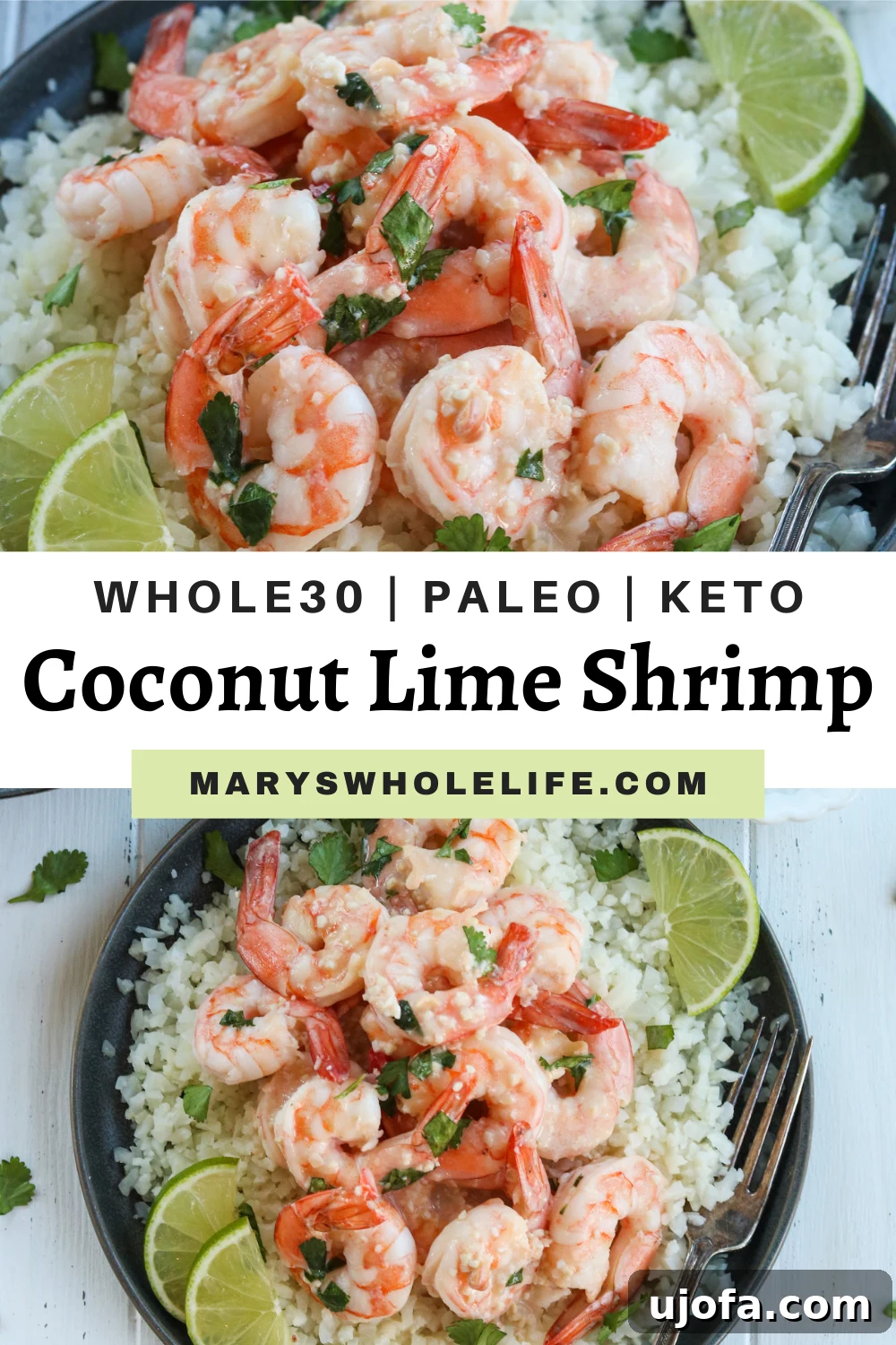 Full spread of Whole30 Coconut Lime Shrimp Skillet with fresh ingredients