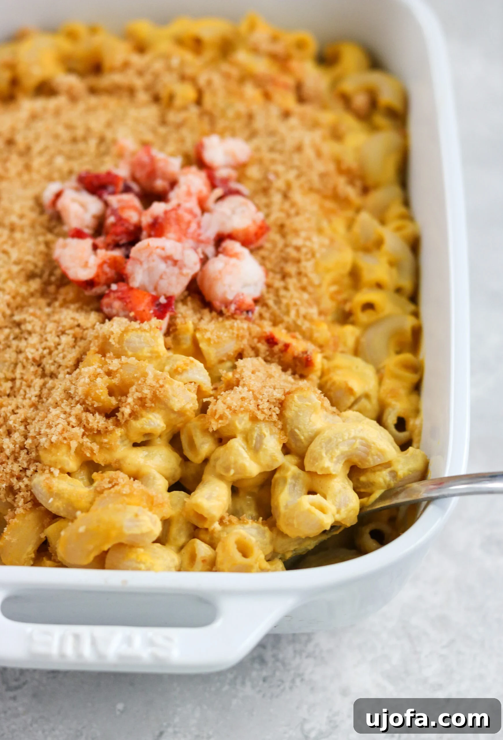 Creamy Dairy-Free Lobster Butternut Squash Mac and Cheese
