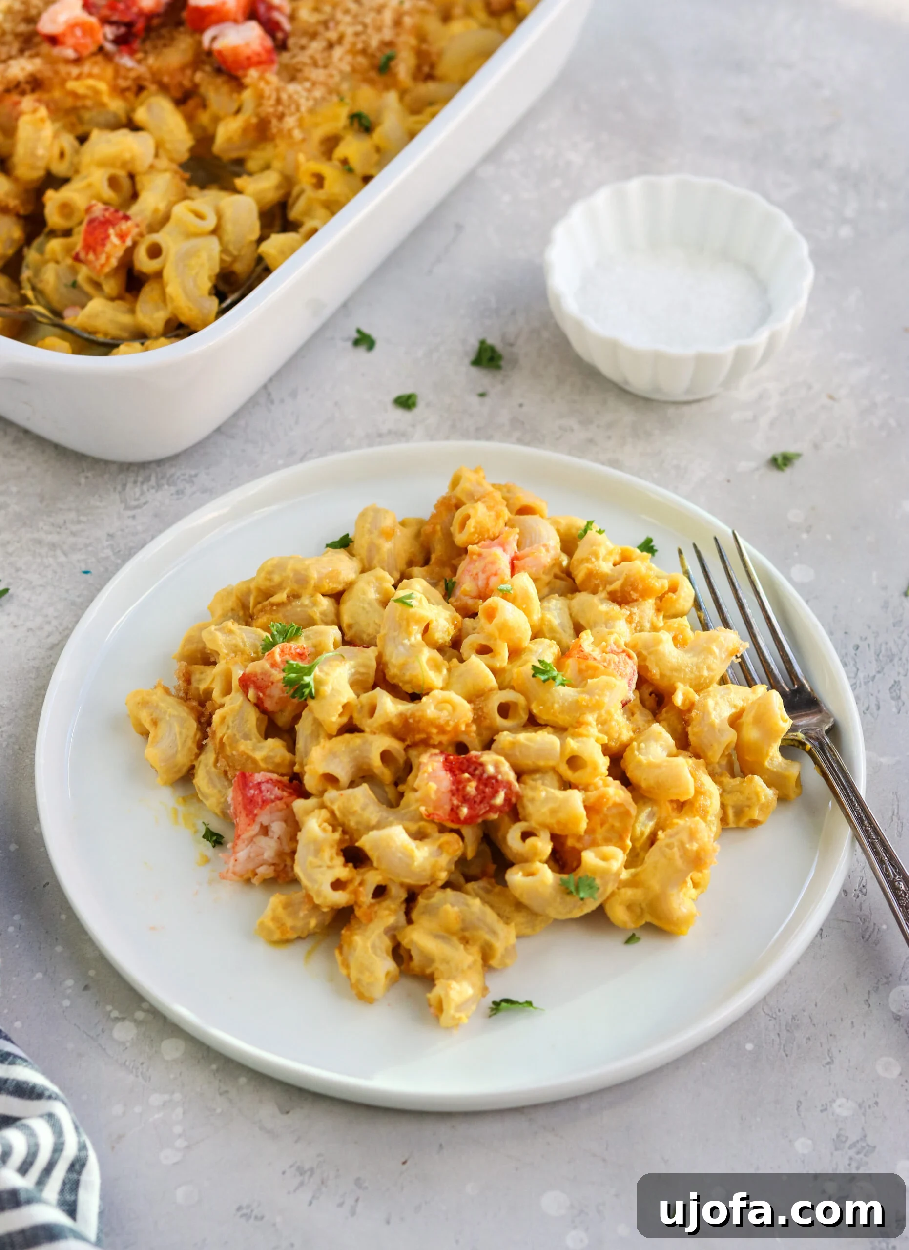 Close-up of Dairy-Free Mac and Cheese with Lobster