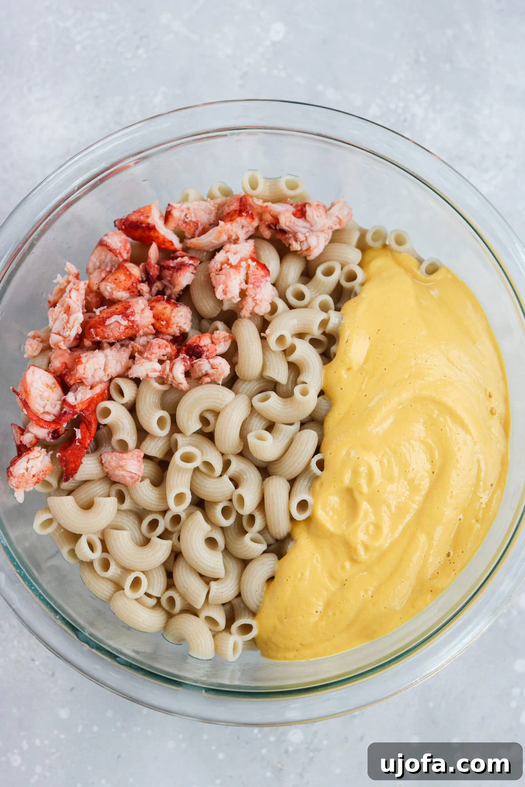 Delicious Dairy-Free Lobster Mac and Cheese close up