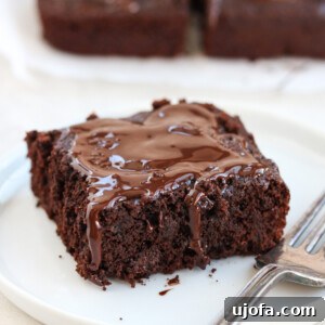 paleo brownies