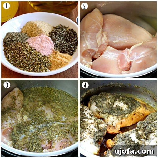 Step-by-step photos demonstrating how to prepare gluten-free shredded chicken, from mixing seasonings to cooking in a pot.