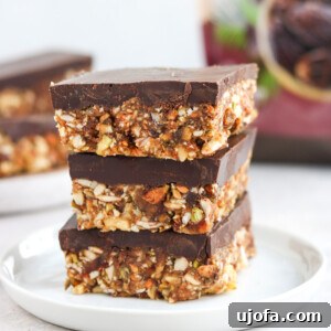 Paleo Fudge Covered Date Nut Bars