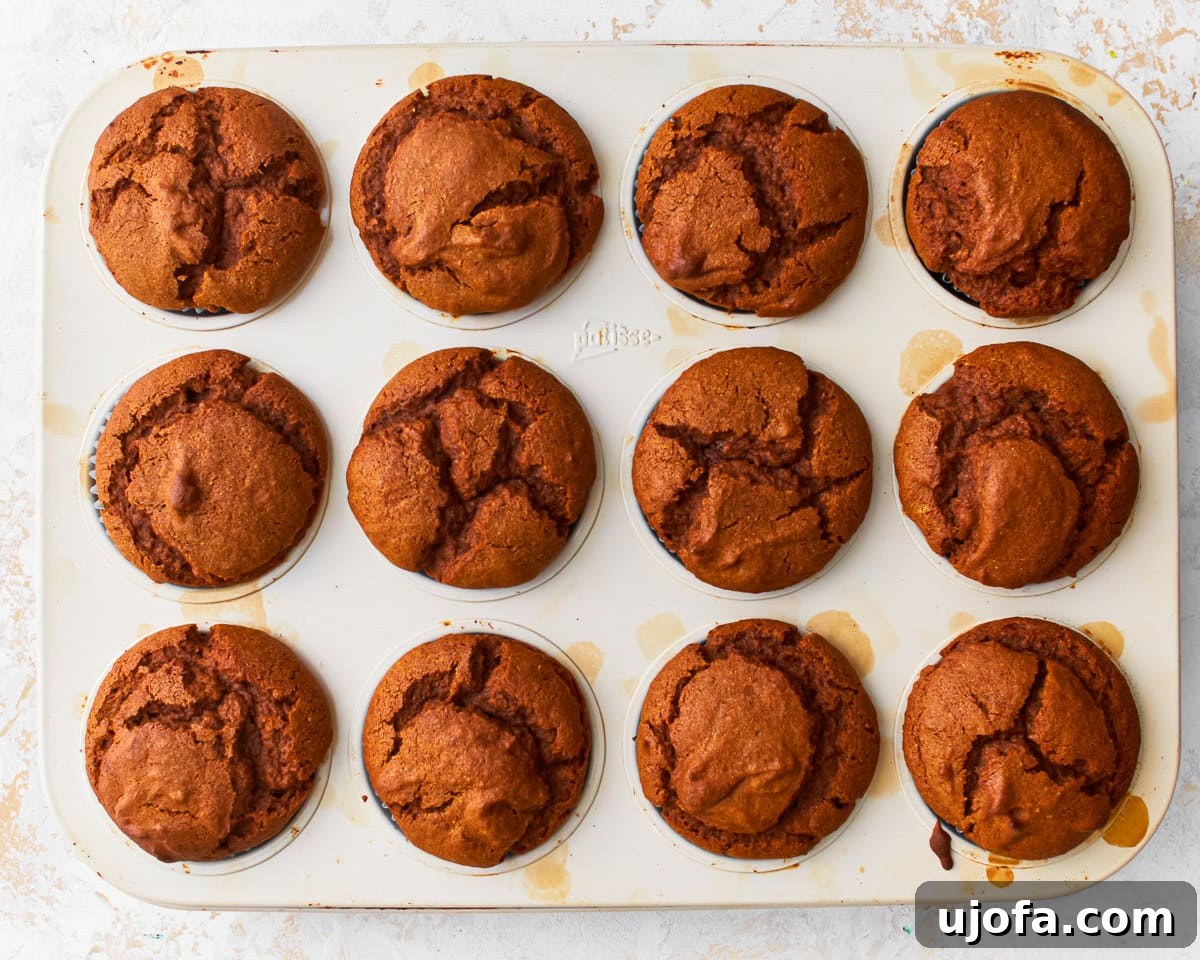 Wholesome Gluten-Free Pumpkin Delights 12 Freshly baked gluten-free pumpkin muffins with golden-brown tops still in the muffin tin.