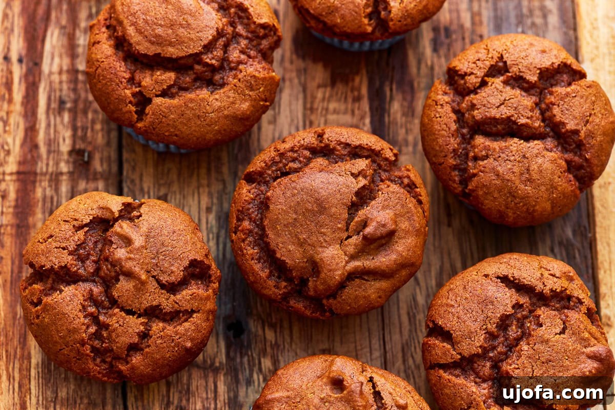 Wholesome Gluten-Free Pumpkin Delights 4 An inviting overhead view of freshly baked gluten-free pumpkin muffins, perfectly golden and ready to enjoy.