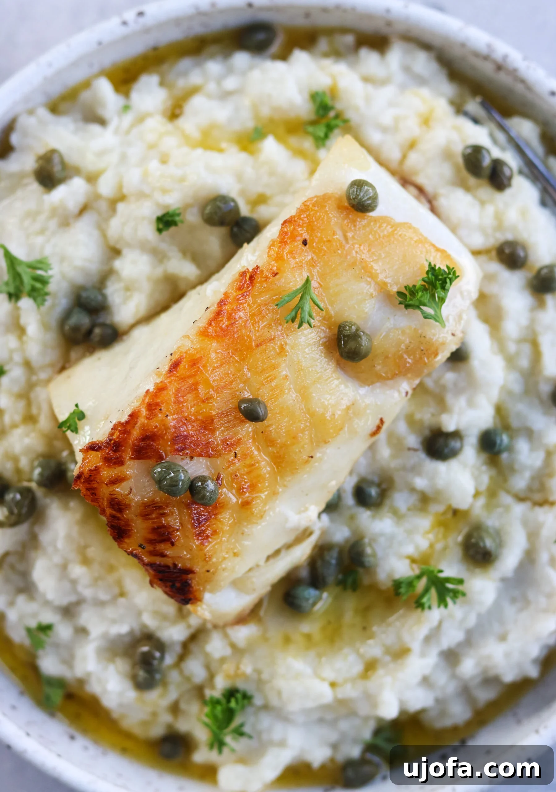closeup of fish on as a topping A tempting closeup of pan-seared Chilean sea bass artfully arranged atop a creamy bed of cauliflower mash, showcasing the dish's rich texture and inviting presentation.