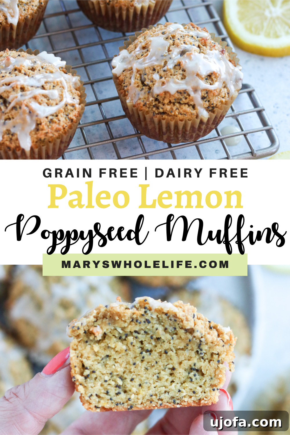 Blog cover featuring paleo lemon poppyseed muffins and recipe text