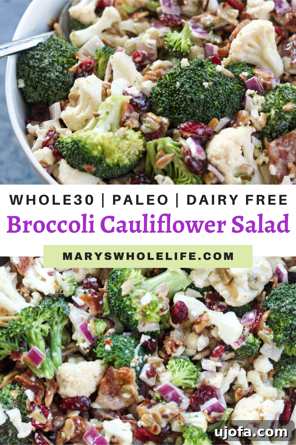 paleo salad paleo salad with text title of the blog post
