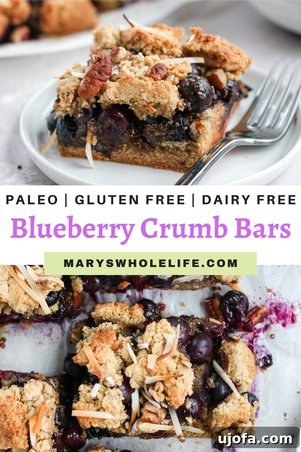 blueberry crumb bars paleo, gluten-free, and dairy free blueberry crumb bars
