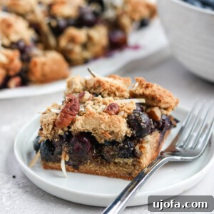 Paleo Blueberry Crumb Bars