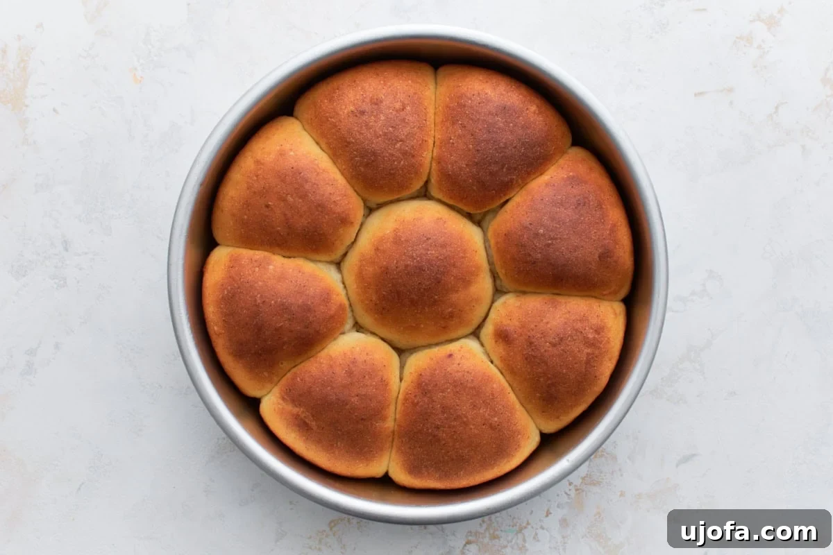 Gluten-free dinner rolls baking in the oven until golden brown