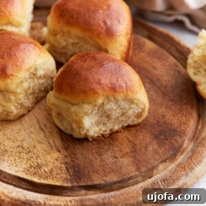 Soft and fluffy gluten-free dinner rolls