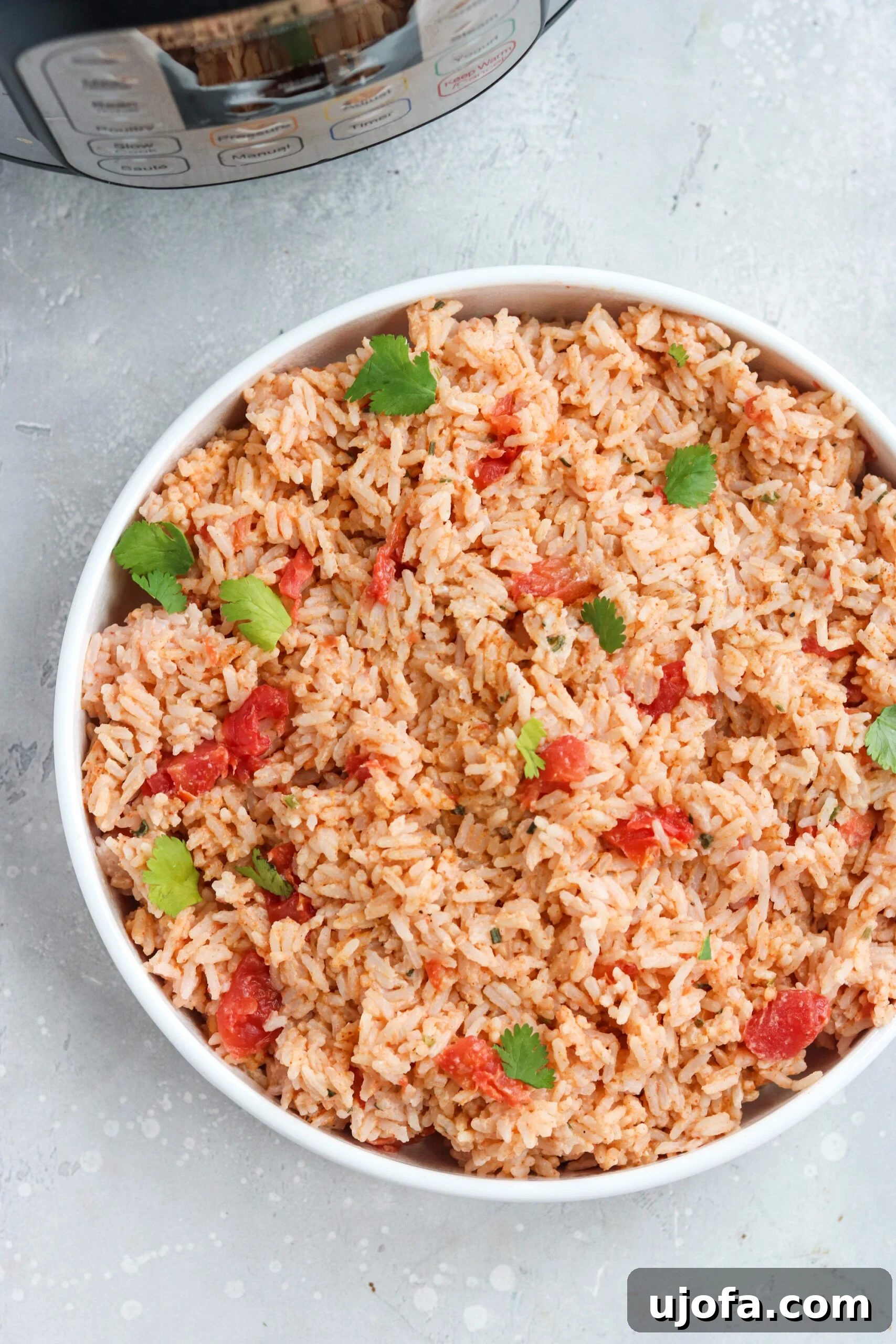 Instant Pot Mexican Rice top view of an Instant Pot Mexican Rice in a white bowl
