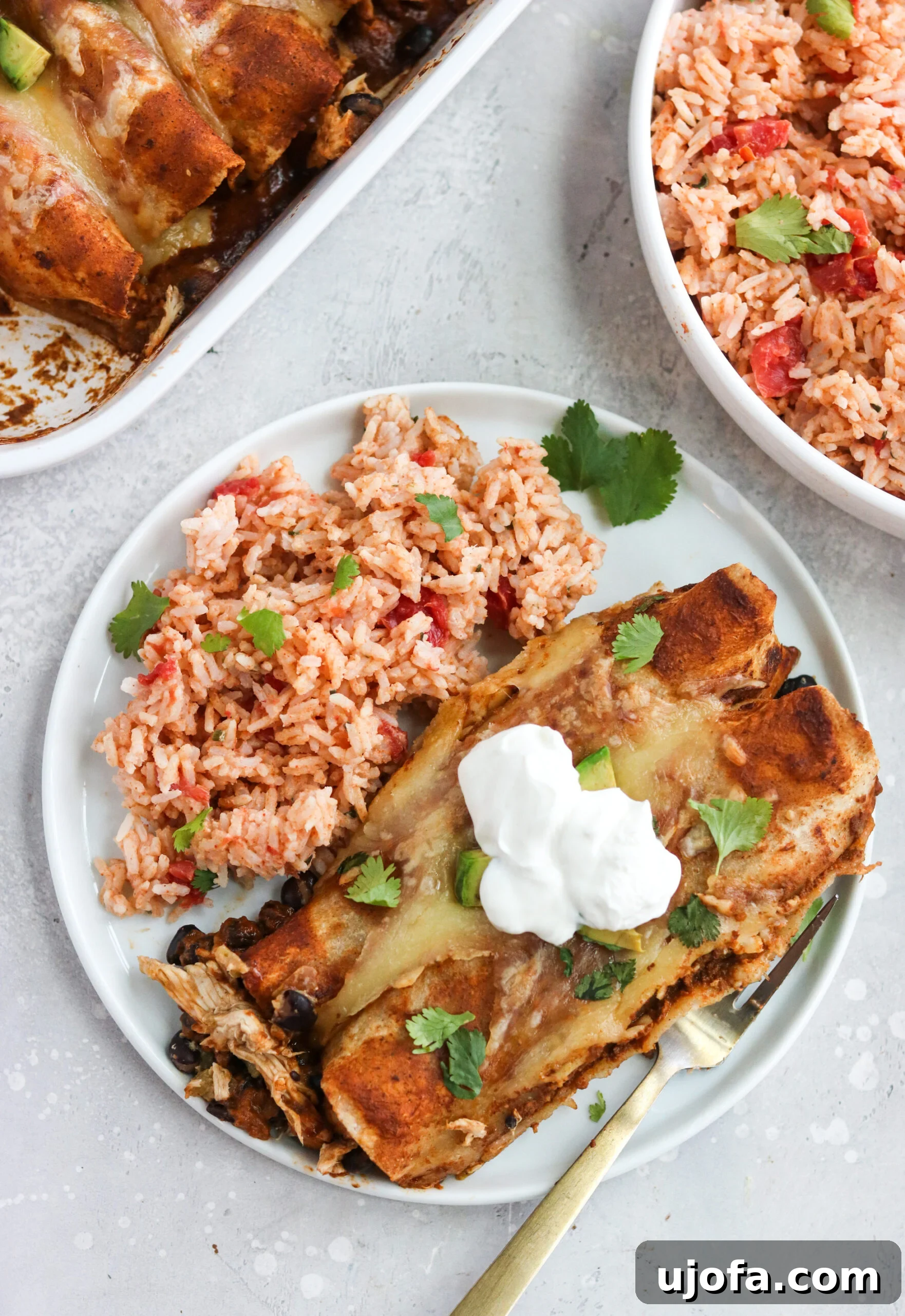 Instant Pot Mexican Rice Instant Pot Mexican Rice and chicken enchilada in a white plate