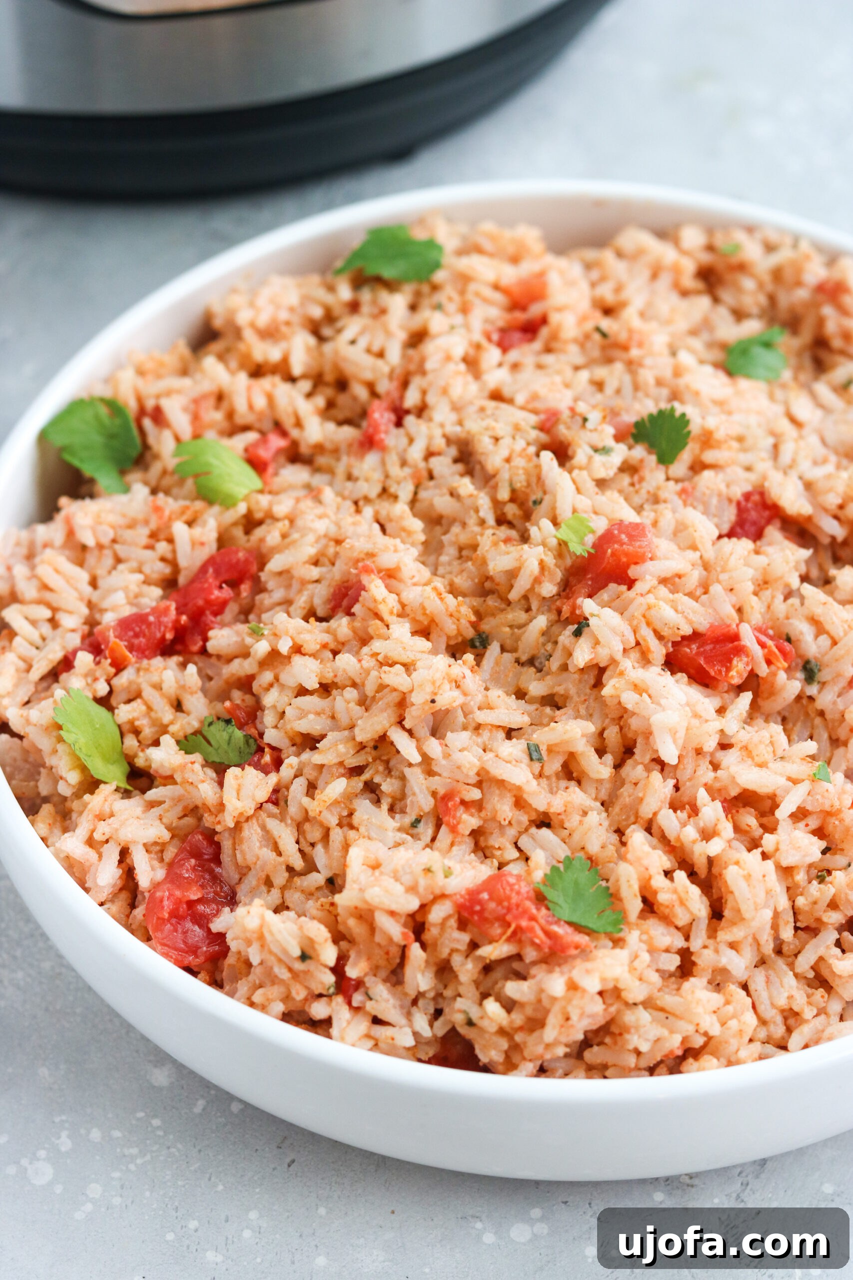 Instant Pot Mexican Rice Mexican Rice in a white plate