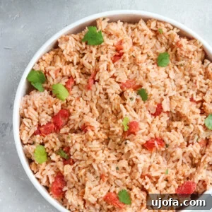 Instant Pot Creamy Vegan Fiesta Rice 2 Instant Pot Mexican Rice