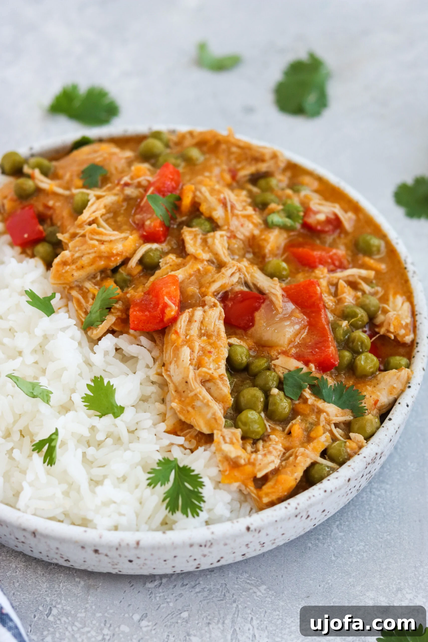 A vibrant bowl of Instant Pot Chicken and Sweet Potato Curry served with rice and fresh cilantro, showcasing its rich texture and colors.