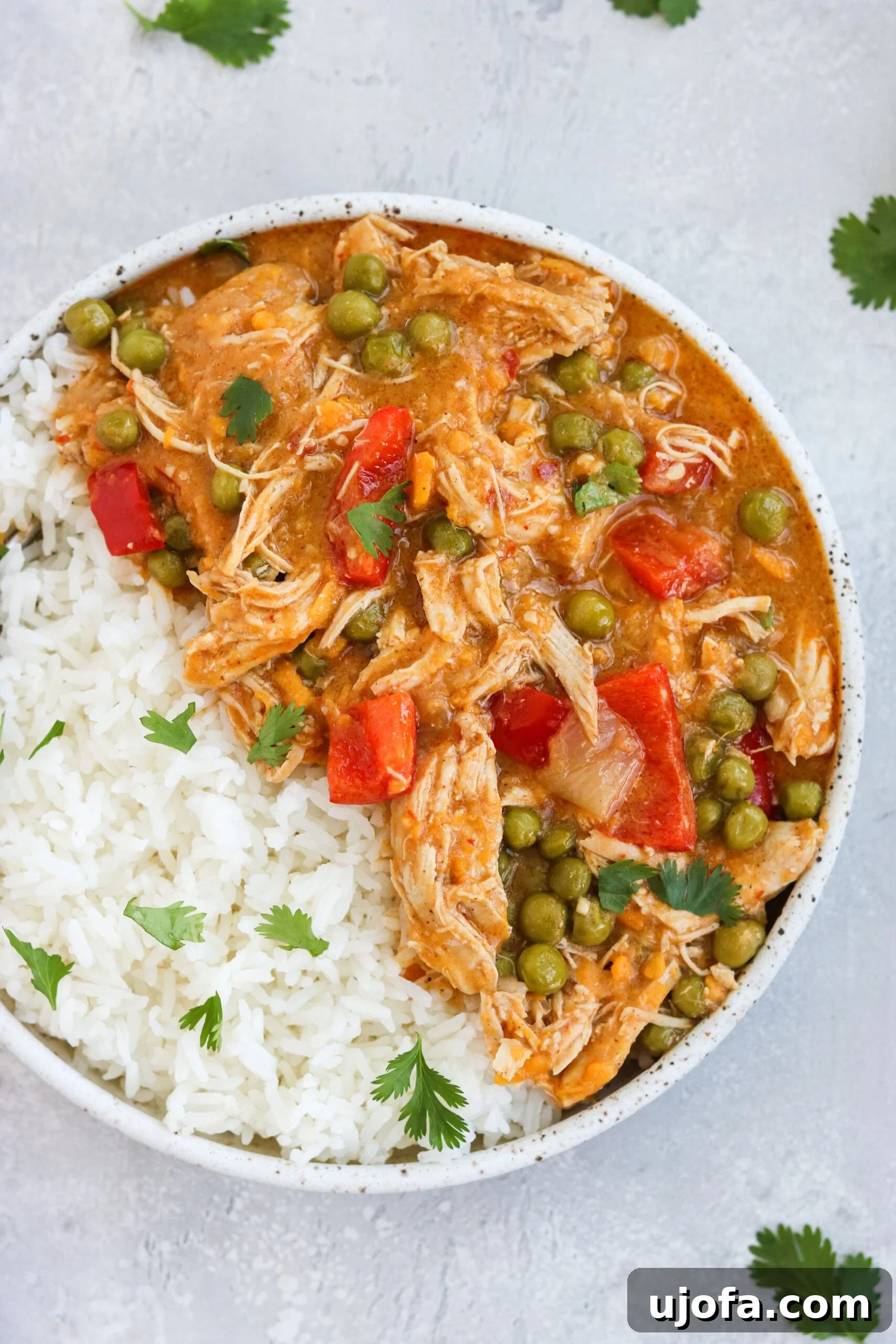 Close-up shot of the Instant Pot Chicken and Sweet Potato Curry in a rustic bowl, highlighting the creamy sauce, tender chicken, and vibrant vegetables.