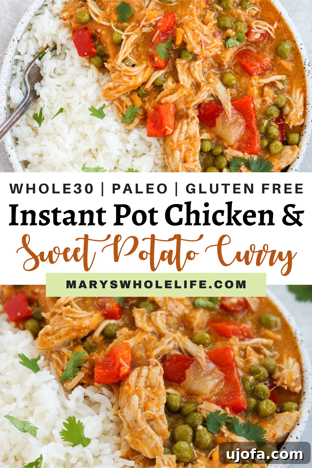 A beautifully composed flat lay image of Instant Pot Chicken and Sweet Potato Curry, with a title overlay, emphasizing the dish's appeal and simplicity.