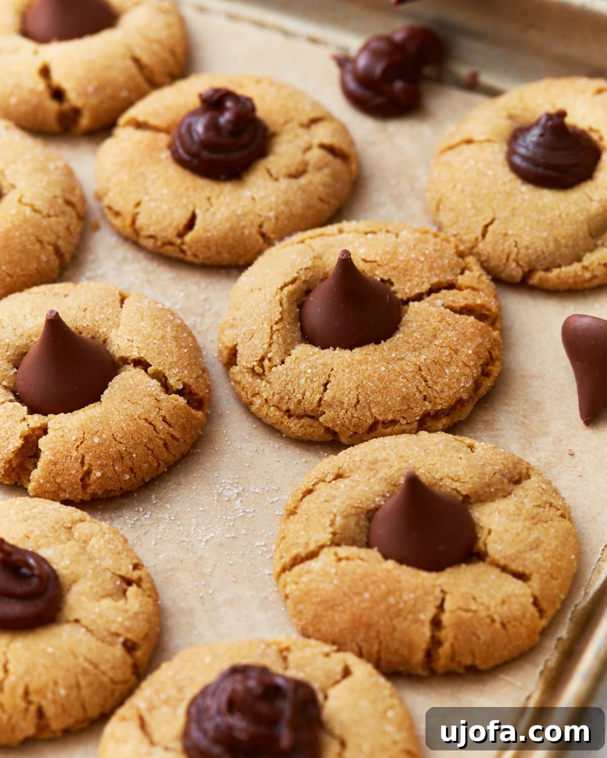 A tray of gluten-free peanut butter blossom cookies, featuring crackled golden edges and chocolate drops or swirls in the center, resting on parchment paper.