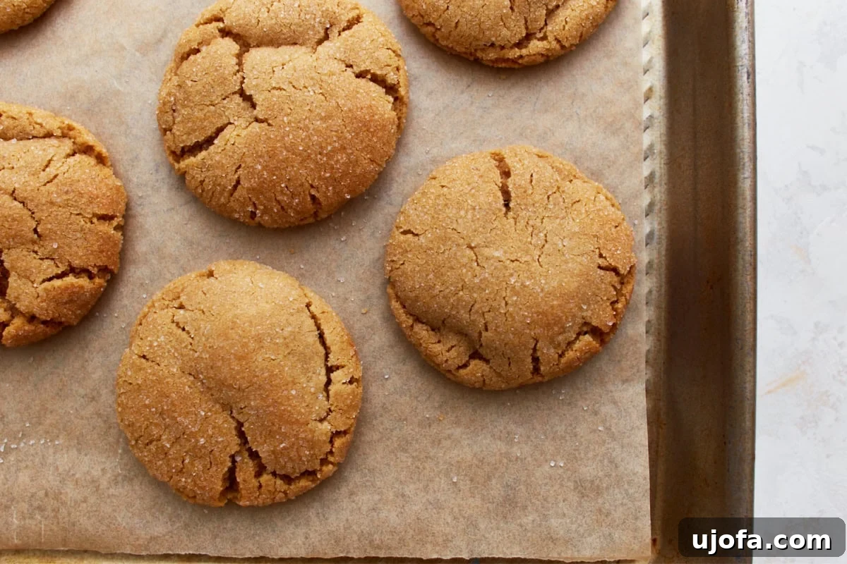 A close-up of baked gluten-free peanut butter cookies with crackled tops, golden edges, and a sugar-coated finish, resting on a parchment-lined tray.
